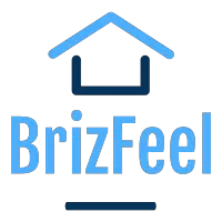 BrizFeel Logo