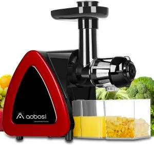 1. Aobosi Slow Masticating Juicer Review – Best Masticating Juicer for Celery Juice by Brizfeel