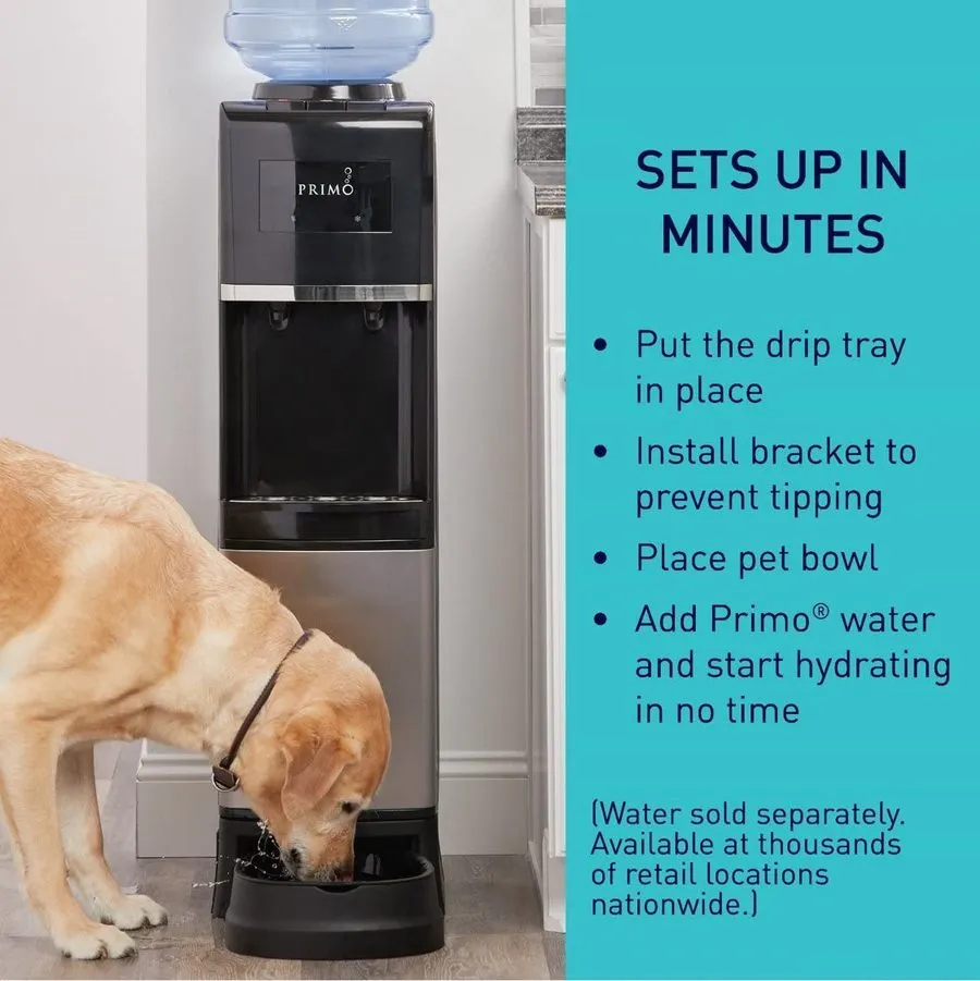 A dog drinking water from Primo Top Load Water Dispenser with Pet Station