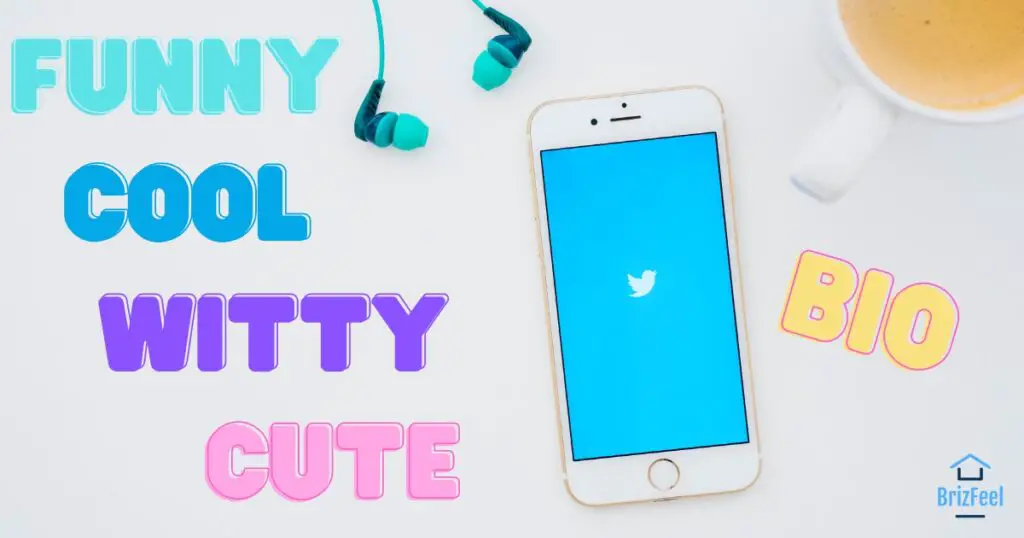 Funny Cool Cute and Witty Twitter Bio Ideas and Quotes