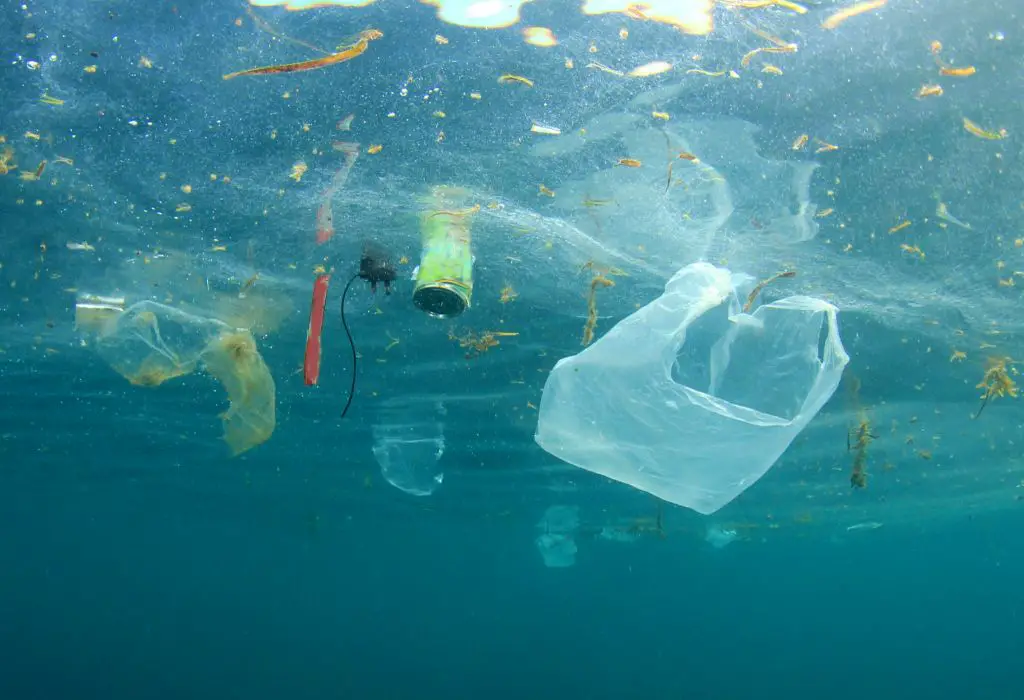 Ocean Pollution Caused by Plastic Water Bottles