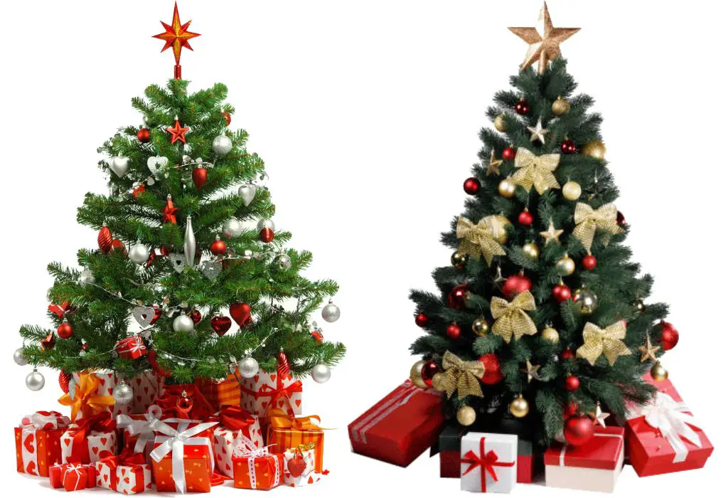 Christmas Tree Statistics Facts